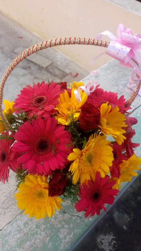 Basket of Mixed Color Gerbera