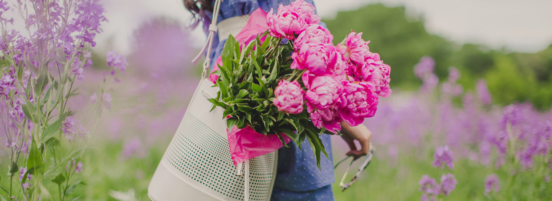 FreshDews - Fresh Flowers